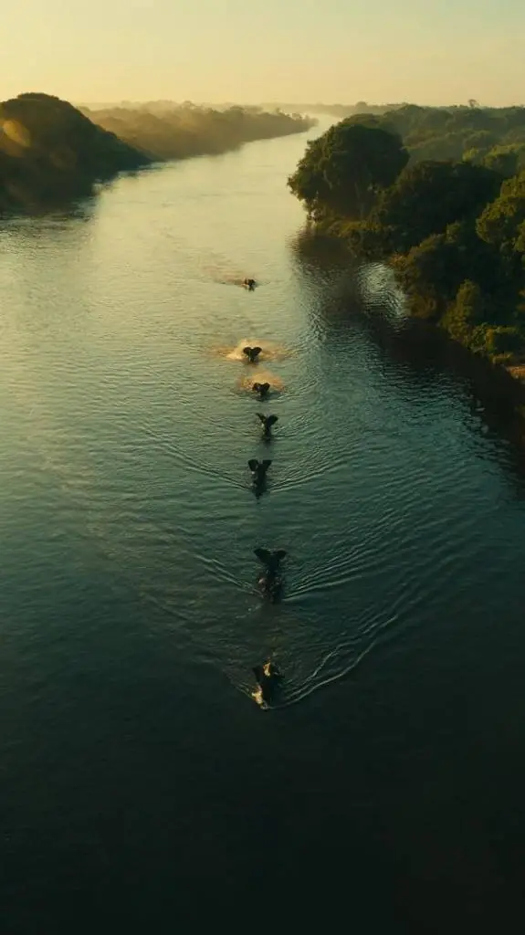 Zambezi & Vic Falls Aerial Collection